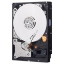 HDD Blue 1TB 3,5'' 64MB SATAIII/7200rpm