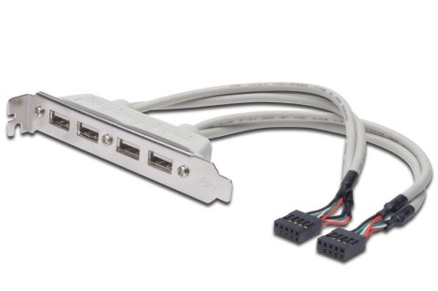 Kabel na śledziu USB 2.0 HighSpeed Typ 2xIDC (5pin)/4xUSB A M/Ż szary 0,25m