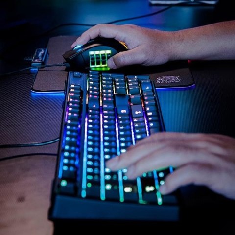 Mysz Tt eSPORTs - NEMESIS SWITCH RGB PMW 3360 Mysz Tt eSPORTs - NEMESIS SWITCH RGB PMW 3360