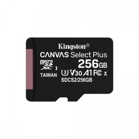 Karta pamięci microSD 256GB Canvas Select Plus 100/85MB/s