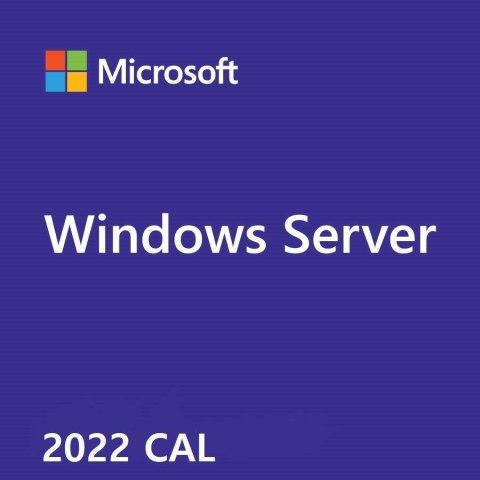 OEM Win Svr CAL 2022 ENG User 5Clt R18-06466