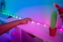 Inteligentne lampki dekoracyjne Strings USB-C (Candies) 200 LED RGB, serca, zielony przewód, 12 m