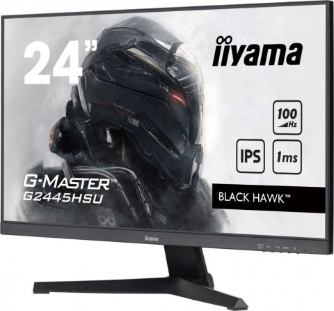 Monitor 23,8 cala G2445HSU-B2 IPS, FHD, 100Hz, 1ms, 2xUSB, 300cd Monitor 23,8 cala G2445HSU-B2 IPS, FHD, 100Hz, 1ms, 2xUSB, 300cd