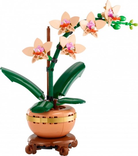 Klocki Botanicals 10343 Mała orchidea Klocki Botanicals 10343 Mała orchidea