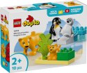 Klocki DUPLO 10442 Rodziny dzikich zwierząt: pingwiny i lwy