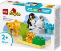 Klocki DUPLO 10442 Rodziny dzikich zwierząt: pingwiny i lwy