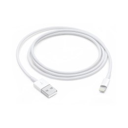 Apple Lightning to USB Cable (1m)