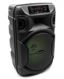 SQUEAK GŁOŚNIK KARAOKE PULSETOWER BLUETOOTH 5.3, RADIO FM, MICROSD, AUX, USB SQ1006