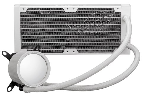 Chłdozenie ASUS ROG RYUO III 240 ARGB WHT Chłdozenie ASUS ROG RYUO III 240 ARGB WHT