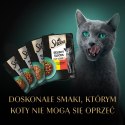 SHEBA Selection in Sauce Soczyste Smaki