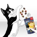 PURINA FELIX PARTY MIX Original Mix 60g