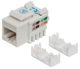 INTELLINET MODUŁ KEYSTONE RJ45 UTP CAT6 BIAŁY 2105