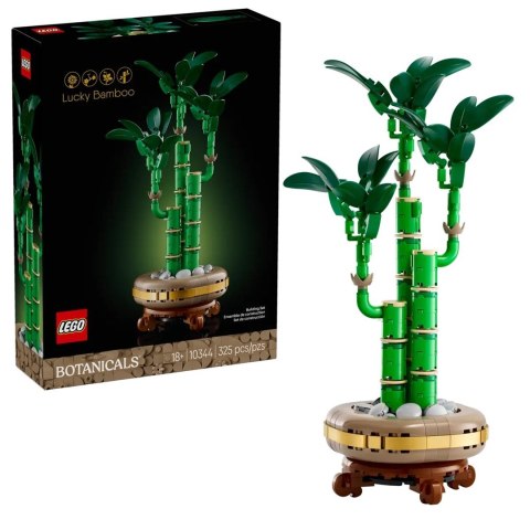 LEGO ICONS 10344 Botanicals - Dracena sandera