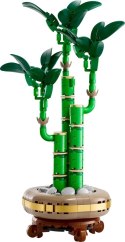 LEGO ICONS 10344 Botanicals - Dracena sandera