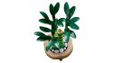 LEGO ICONS 10344 Botanicals - Dracena sandera