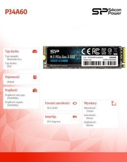 Dysk SSD A60 256GB M.2 PCIe 2100/1200 MB/s NVMe