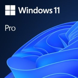 MS Windows 11 Professional 64bit English 1pk DVD OEM